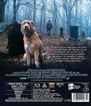 Good Boy - Blu-Ray | 8436558202870 | Ben Leonberg