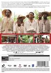 12 Años De Esclavitud (12 Years a Slave) - DVD | 8414533150637 | Steve McQueen