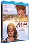 ¿A Quién Ama Gilbert Grape? (What's Eating Gilbert Grape?) - Blu-Ray | 8421394419308 | Lasse Hallström