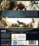 Dynasties (VOSI) - Blu-Ray | 5051561004384 | Simon Blakeney, Will Lawson, Nick Lyon, Rosie Thomas, Theo Webb