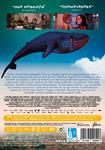 Olivia y el terremoto invisible - DVD | 8421394558908 | Irene Iborra