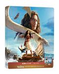 Vaiana (2026) (Ed. Steelbook) - 4K + Blu-Ray | 8421394803824 | Thomas Kail
