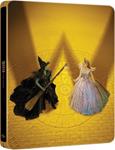 Wicked: Parte II (Wicked: For Good) (Limited Edition Steelbook 4K + Blu-Ray) - 4K UHD | 5061088922221 | Jon M. Chu