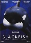 Blackfish - DVD | 8437010735998 | Gabriela Cowperthwaite