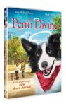 Un Perro Divino - DVD | 8421394548466 | Robin Conly