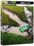 El Final de Oak Street (The End of Oak Street) Ed. Steelbook - 4K + Blu-Ray | 8414533151917 | David Robert Mitchell