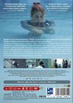 Frágil (A Mistake) - DVD | 8421394558519 | Christine Jeffs