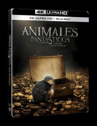 Animales Fantasticos 1: Y Donde Encontrarlos (STEELBOOK 4K Uhd + Bd) - 4K UHD | 8414533135504