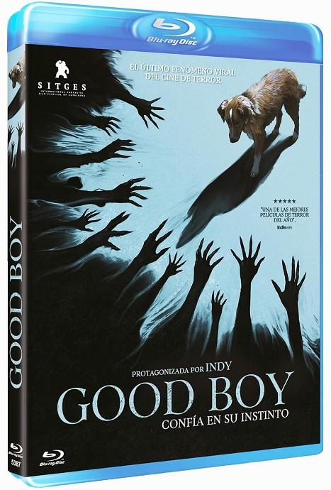 Good Boy - Blu-Ray | 8436558202870 | Ben Leonberg