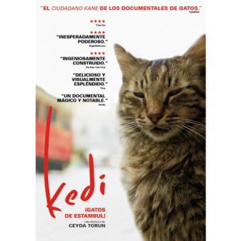 Kedi, Gatos De Estambul - DVD | 8436564163950 | Ceyda Torun