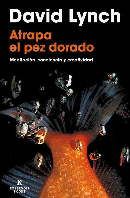 Atrapa el Pez Dorado - Libro | 9788418897436 | David Lynch