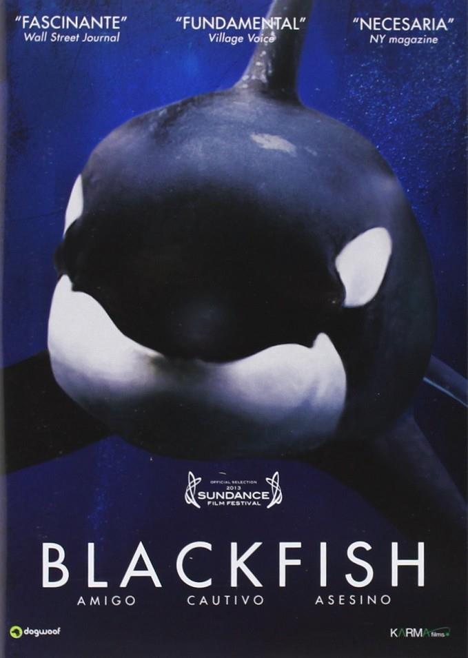 Blackfish - DVD | 8437010735998 | Gabriela Cowperthwaite