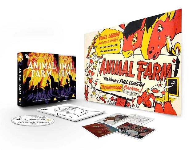 Rebelión en la granja (Animal Farm) (Limited Edition with Book) (VOSI) - Blu-Ray | 5035673015780 | Joy Batchelor, John Halas