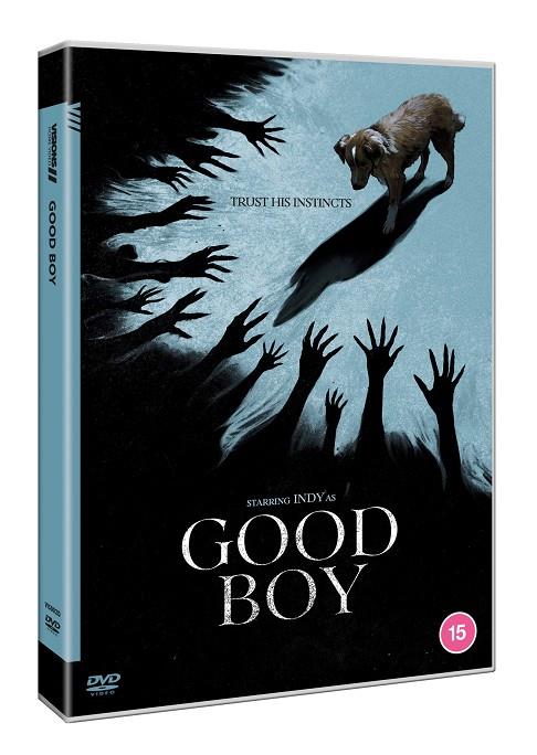 Good Boy (VOSI) - DVD | 5063894000025 | Ben Leonberg