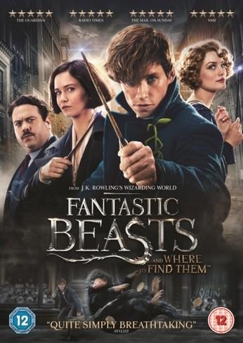 Animales Fantásticos 1: Y Donde Encontrarlos - DVD | 5051892204156 | David Yates