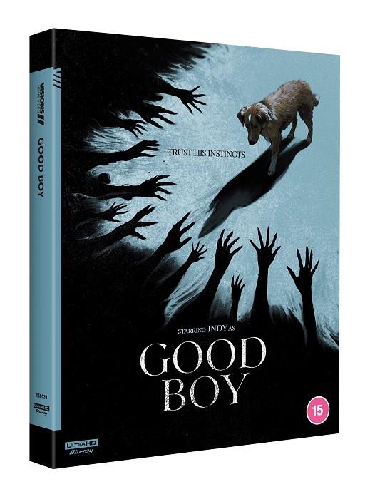 Good Boy (VOSI) - 4K UHD | 5063894000049 | Ben Leonberg