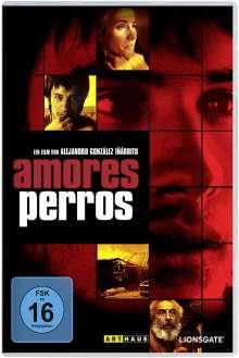Amores perros - DVD | 4006680095059 | Alejandro Gonzalez Inarritu