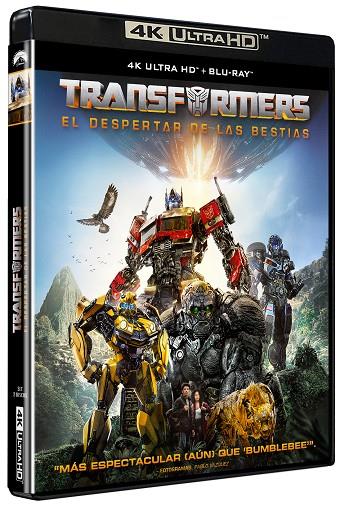 Transformers 6: El Despertar de las Bestias - 4K UHD | 8421394101401 | Steven Caple Jr.