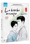 La Hierba Errante (Ukikusa) - Blu-Ray | 8436597562522 | Yasujiro Ozu