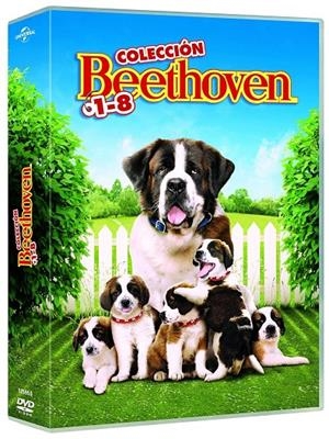 Beethoven Coleccion 1-8 (Dvd) (Caja 33Mm) - DVD | 8414533125956