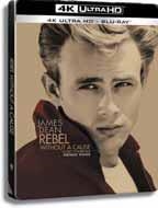 Rebelde Sin Causa (+ Blu-Ray) - 4K UHD | 8414533137638 | Nicholas Ray