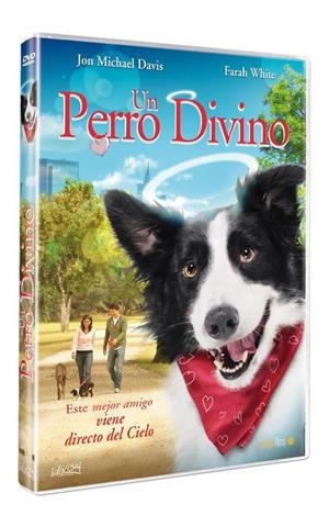 Un Perro Divino - DVD | 8421394548466 | Robin Conly