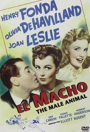 El Macho - DVD | 8436548864361 | Elliott Nugent