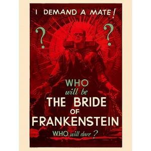 La Novia De Frankenstein - Póster | 8429987230491