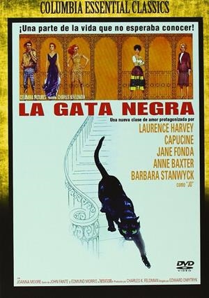 La gata negra - DVD | 8414533081313