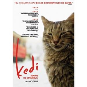 Kedi, Gatos De Estambul - DVD | 8436564163950 | Ceyda Torun