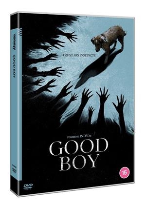 Good Boy (VOSI) - DVD | 5063894000025 | Ben Leonberg
