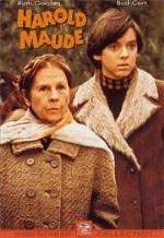 HAROLD Y MAUDE - DVD | 8414906412102 | Hal Ashby