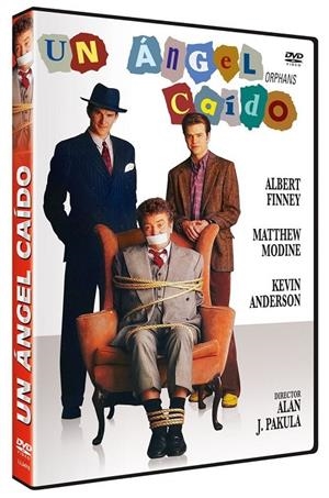 Un Ángel Caído - DVD | 8436569300268